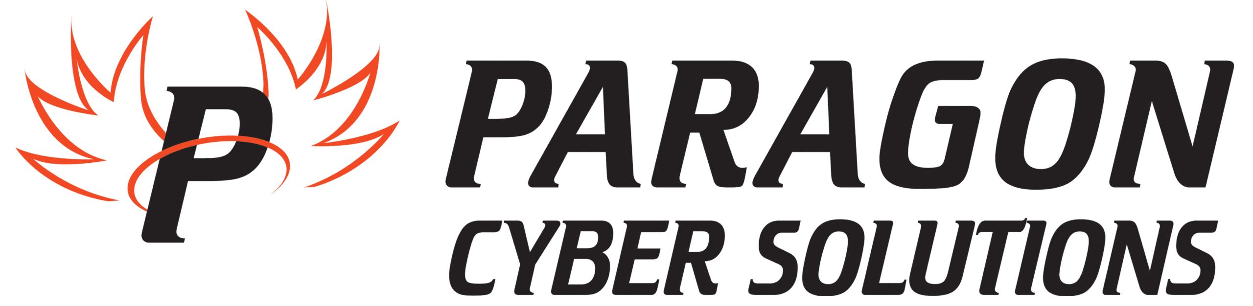 Paragon Cyber Solutions LLC